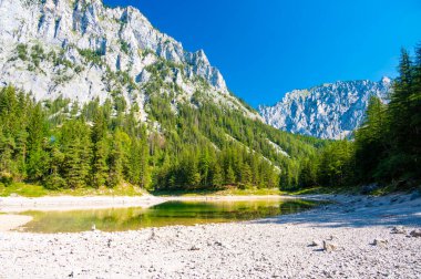 Gruner See, Avusturya Barışçıl dağ manzaralı Styria 'daki ünlü yeşil göl. Turkuaz yeşili su rengi. Seyahat hedefi