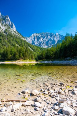 Gruner See, Avusturya Barışçıl dağ manzaralı Styria 'daki ünlü yeşil göl. Turkuaz yeşili su rengi. Seyahat hedefi
