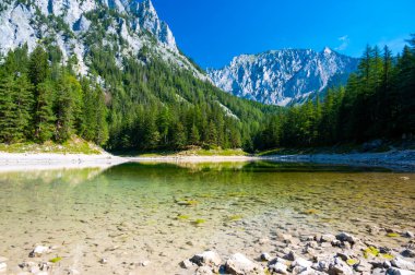 Gruner See, Avusturya Barışçıl dağ manzaralı Styria 'daki ünlü yeşil göl. Turkuaz yeşili su rengi. Seyahat hedefi