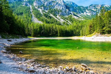 Gruner See, Avusturya Barışçıl dağ manzaralı Styria 'daki ünlü yeşil göl. Turkuaz yeşili su rengi. Seyahat hedefi