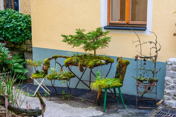 Outdoor old chair and furniture covered big green plants.