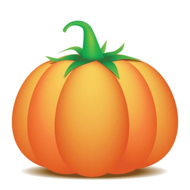 Pumpkin. Vector illustration