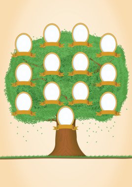 Genealogical tree. Green tree