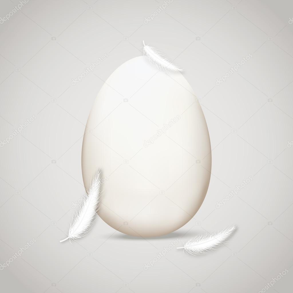 Egg in feathers