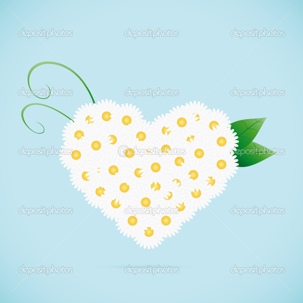 Chamomile heart