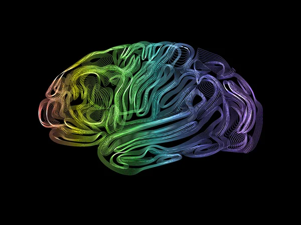 Concept créatif du cerveau humain, vecteur — Image vectorielle