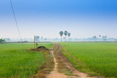 Kışın yün süveter