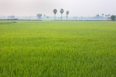 Kışın yün süveter