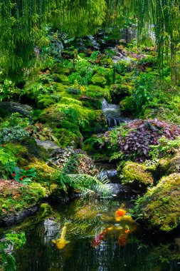 fern gardens and trees with a small waterfall