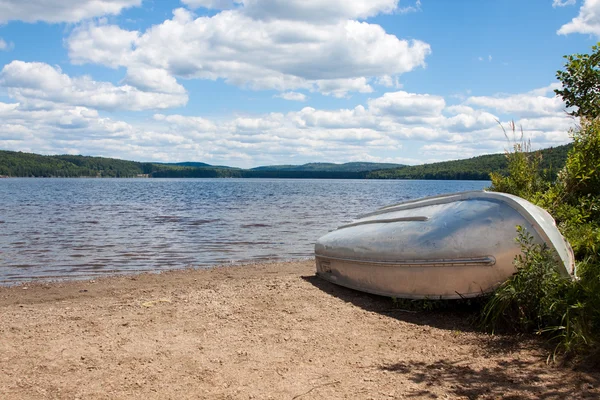 Vista panorâmica de um lago e da floresta — Fotografia de Stock