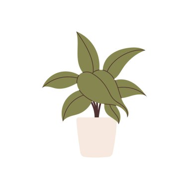 El çizimi ev bitkisi element vektörü