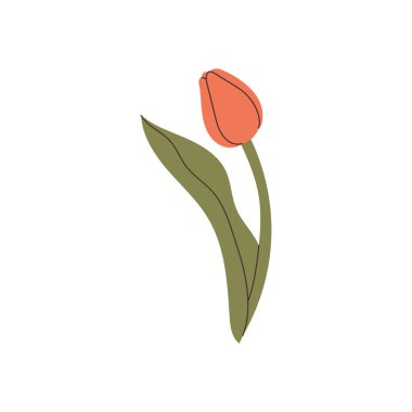 el çizimi lale ögesi vektörü