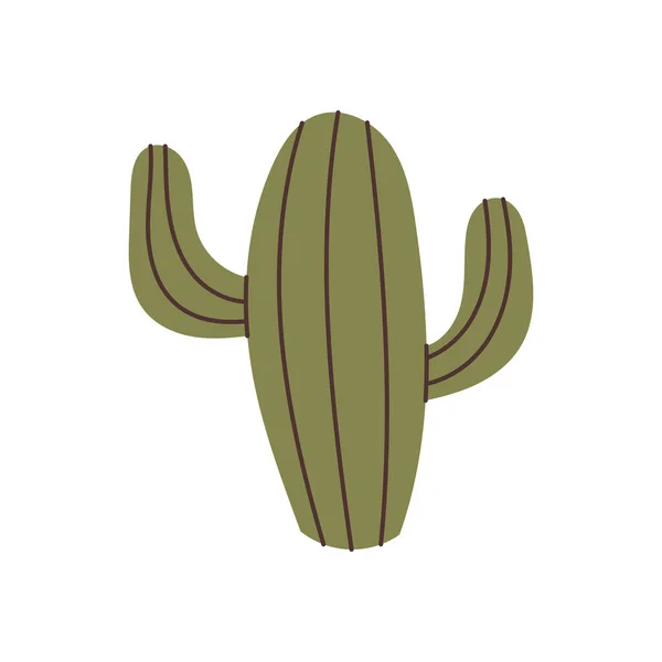 Elemento Cactus Dibujado Mano Vector — Vector de stock