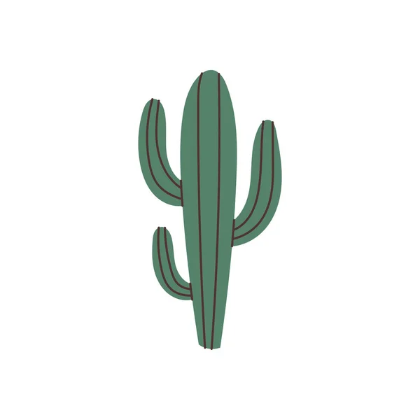 Vettore Elemento Cactus Disegnato Mano — Vettoriale Stock