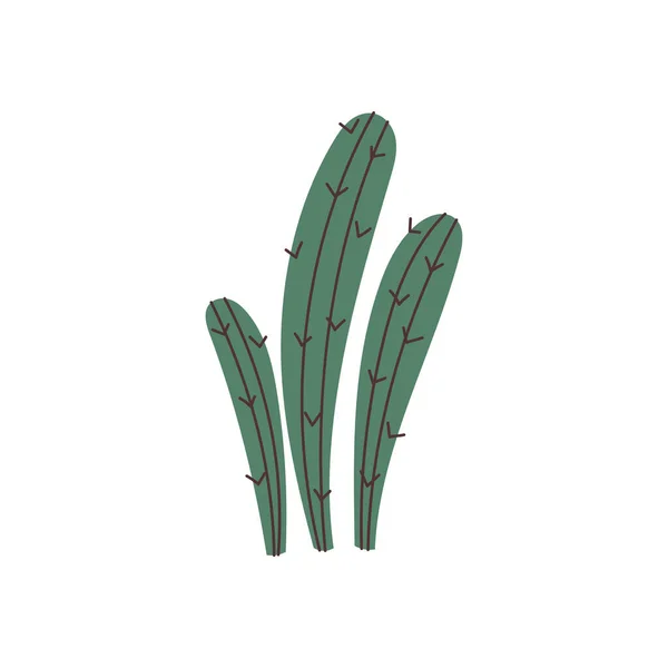 Élément Cactus Dessiné Main Vecteur — Image vectorielle