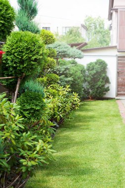 Bahçedeki güzel ağaçlar ve yazlık evin yakınındaki yeşil çimenler.