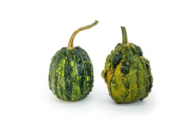 Beyaz arka planda iki küçük, dekoratif yeşil balkabağı, nesne kesilir. Sağlıklı gıda posterleri için izole edilmiş sebzeler. İki sebzeden oluşan bir gruba yakın çekim.