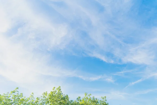 Background sky gradient , Bright and enjoy your eye with the sky refreshing in Phuket Thailand.