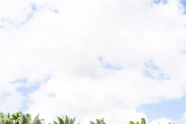 Açık bir günde güzel tropik plajların ve denizin doğal manzarası Phuket Tayland