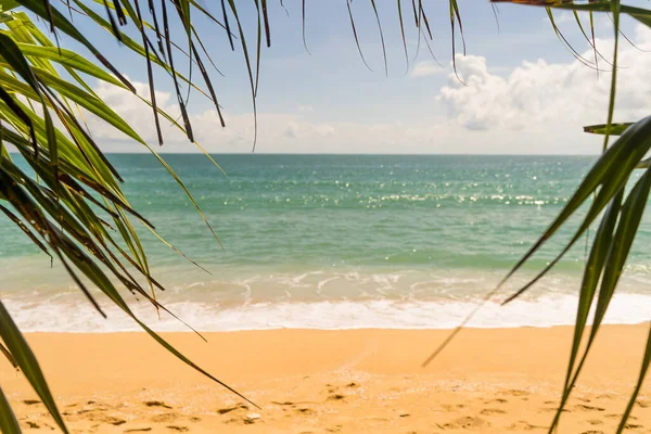 Arka plan Naiyang plajı, rahat gözler, güneşlenme, Phuket Ulusal Parkı, Phuket, Tayland 'a odaklan..