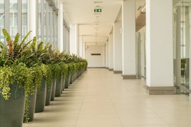 Yurtiçi binadan Phuket Uluslararası Havaalanına giden yol