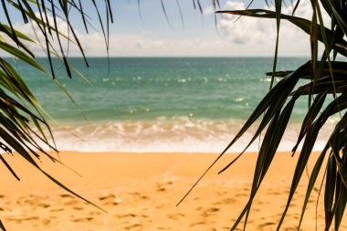 Arka plan Naiyang plajı, rahat gözler, güneşlenme, Phuket Ulusal Parkı, Phuket, Tayland 'a odaklan..