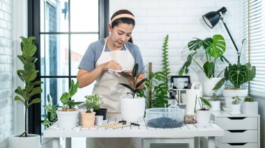 Günlük kıyafetlerle Asyalı kadın bahçıvan, bitkilerle ilgilenir ve evdeki masadaki çiçeklerin yapraklarını silerken hobi aktivitesi, ev bahçesi kavramı...