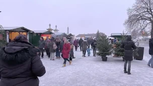 SCHLOSSHOF, OOSTENRIJK, NOVEMBER 21, 2021: Kerstmarkt in landgoed Schloss hof. — Stockvideo