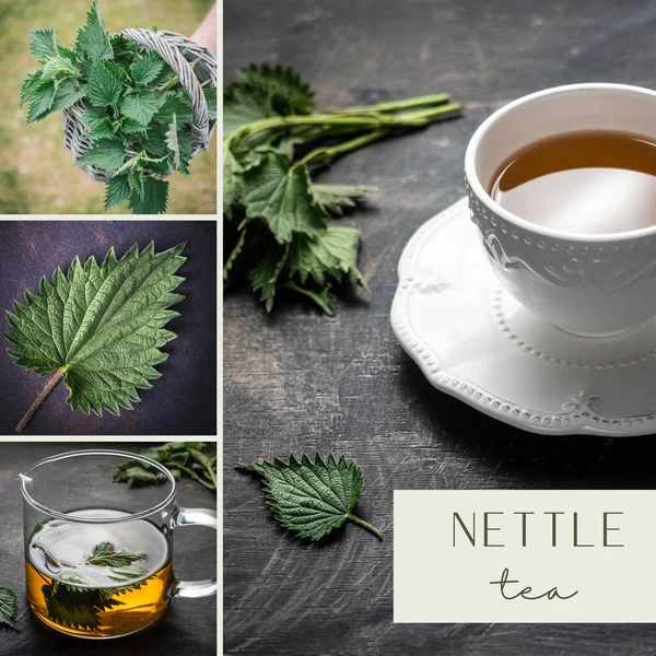 Nettle tea. Collage of four images. Mood board. — Fotografia de Stock