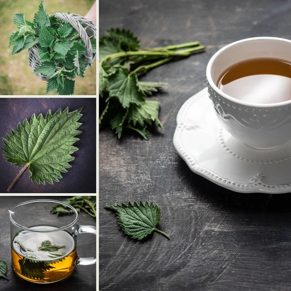 Nettle tea. Collage of four images. Mood board with copy space. — Fotografia de Stock