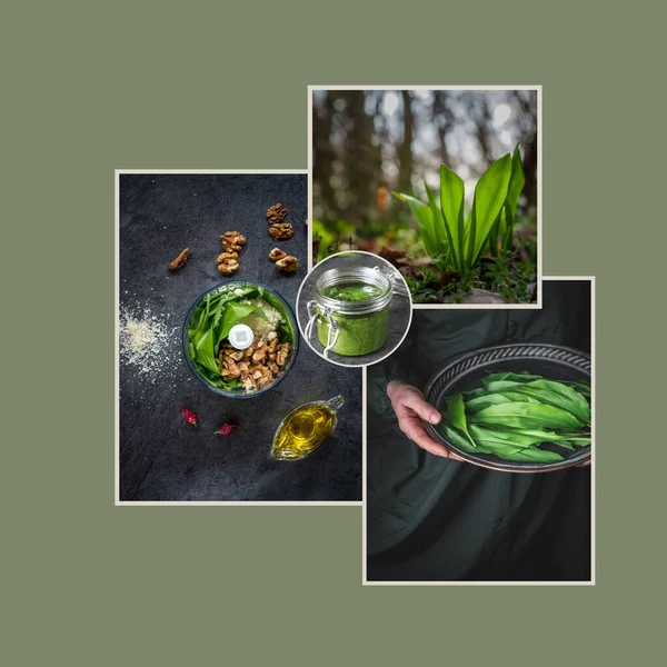 Wild garlic - allium ursinum. Collage of four images. Social media template. — Stock Fotó