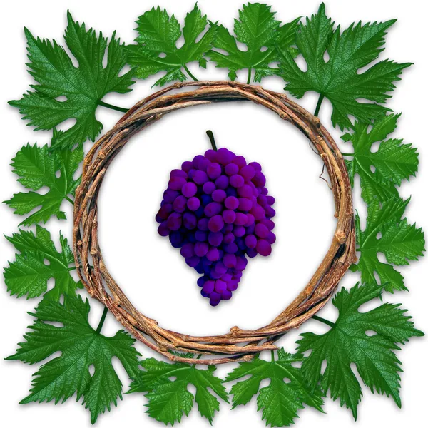 Grape frame — Stock Photo, Image