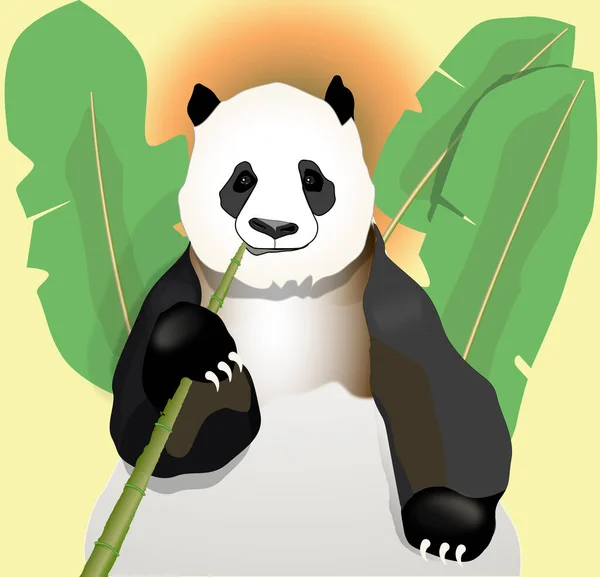 Felnőtt Panda Eszik Bambusz Között Trópusi Természet Mögött Illusztráció Négyzet — Stock Fotó