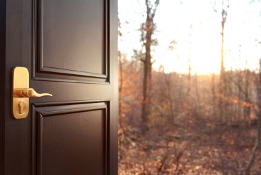 Üç boyutlu resimde, bahçeye açılan kapı sararmış sonbahar yaprakları, çimenler, ağaçlar ve çalılar.