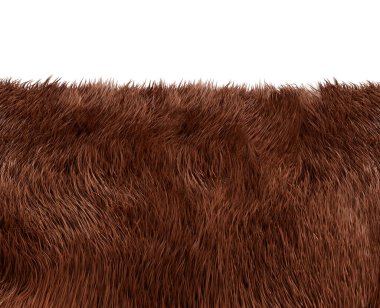 Şeffaf arkaplanda hayvanların kürk dokusunun 3 boyutlu çizimi