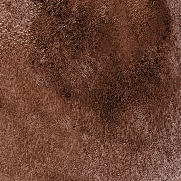 3D illustration of animal\'s fur texture on transparent background