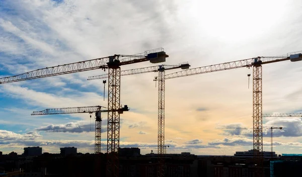 Birçok inşaat vincinin silueti. Arka planda bulutlu bir gökyüzü. Emlak kavramı