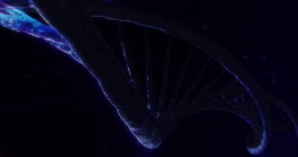 Dubbele Helix Spiraalvormige Dna Structuur Blauw Abstracte Achtergrond Lus Animatie — Stockvideo