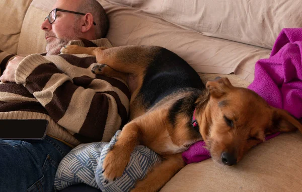 Mannen Soffan Med Sin Hund Sover Ovanpå Honom — Stockfoto