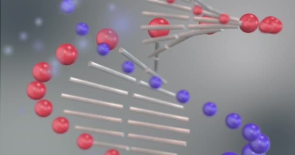 Dna回路図の表現 二重らせん 螺旋構造 抽象的な背景 3Dアニメーション 医学研究の概念 — ストック動画