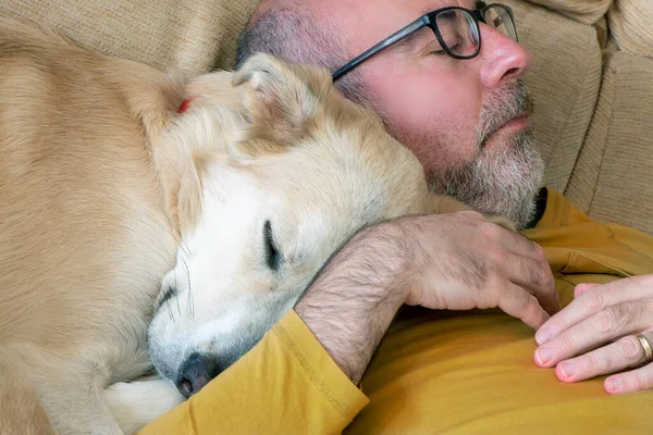 Orta yaşlı bir adam ve köpek evdeki kanepede birlikte yatıyorlar.