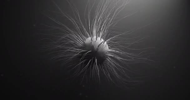 Generic Microscopic Cell Microorganism Stylized Strands Pleomorphic Virus Render Seamless — Video