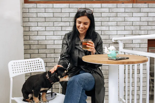 美少女モデルは黒犬と一緒に路上のカフェで食事をします 光の背景 高品質の写真 — ストック写真