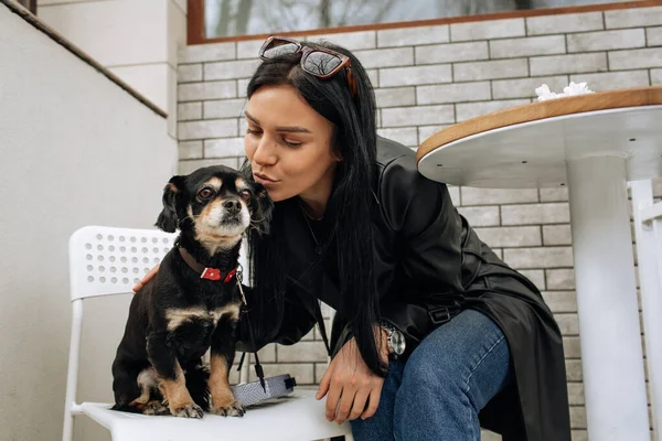 美少女モデルは黒犬と一緒に路上のカフェで食事をします 光の背景 高品質の写真 — ストック写真