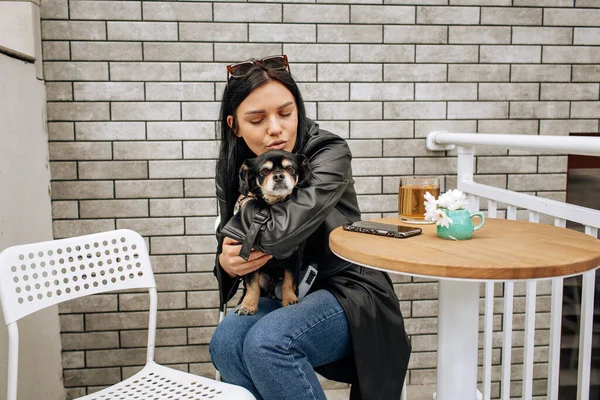 美少女モデルは黒犬と一緒に路上のカフェで食事をします 光の背景 高品質の写真 — ストック写真