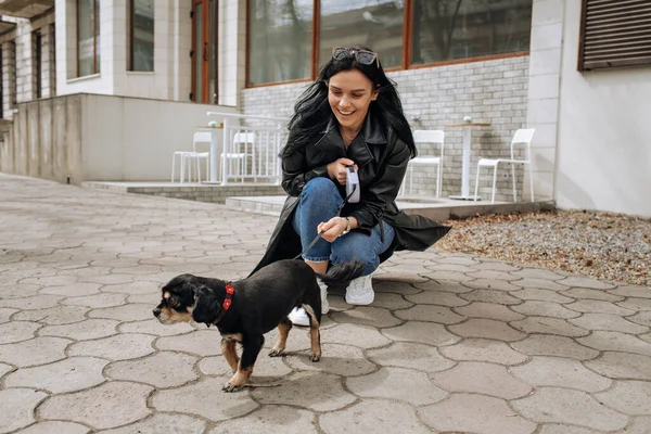 美少女モデルが街中を犬が歩く 高品質の写真 — ストック写真