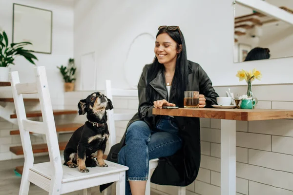 灰色のスーツを着た楽観的な女性が笑顔で カフェで犬と遊んでいます スタイリッシュなコート姿の可愛い女性 高品質の写真 — ストック写真