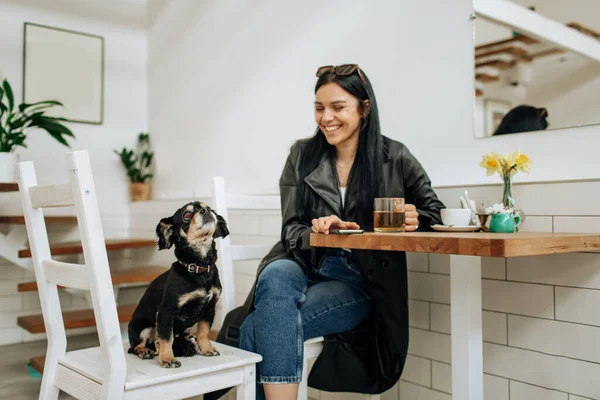 灰色のスーツを着た楽観的な女性が笑顔で カフェで犬と遊んでいます スタイリッシュなコート姿の可愛い女性 高品質の写真 — ストック写真