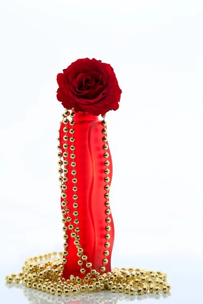Dark Red Rose Golden Pearls Red Vase White Background — Stock Photo, Image