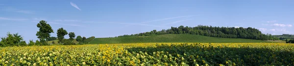 Italian landscape Stock Image